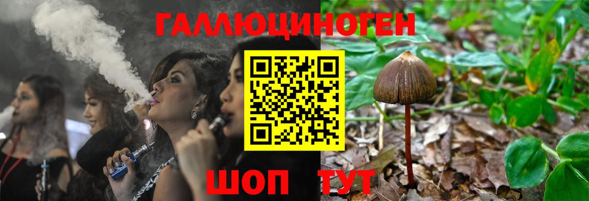 Галлюциногенные грибы GOLDEN TEACHER  Галлюциногенные грибы MAGIC MUSHROOMS  Вход с VPN  Ирбит 